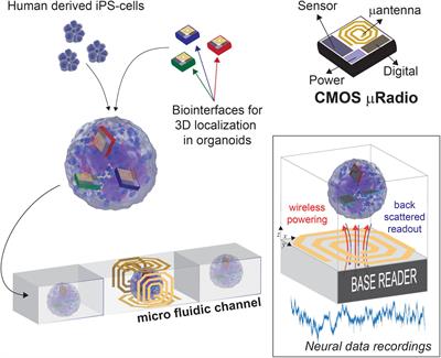 Integrated Micro-Devices for a Lab-in-Organoid Technology Platform: Current Status and Future Perspectives